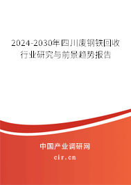 2024-2030年四川廢鋼鐵回收行業研究與前景趨勢報告