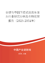 全球與中國下拉式廚房水龍頭行業研究分析及市場前景報告（2025-2031年）