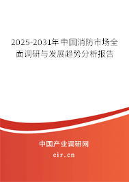 2025-2031年中國消防市場全面調研與發展趨勢分析報告