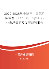 2022-2028年全球與中國芯片實驗室（Lab On Chips）行業市場調研及發展趨勢報告