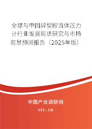 全球與中國異型腔流體壓力計(jì)行業(yè)發(fā)展現(xiàn)狀研究與市場(chǎng)前景預(yù)測(cè)報(bào)告（2025年版）