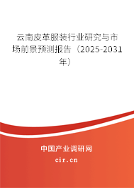 云南皮革服裝行業(yè)研究與市場前景預(yù)測報(bào)告（2025-2031年）