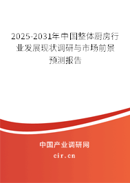 2025-2031年中國整體廚房行業發展現狀調研與市場前景預測報告