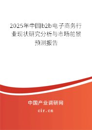 2025年中國b2b電子商務行業現狀研究分析與市場前景預測報告