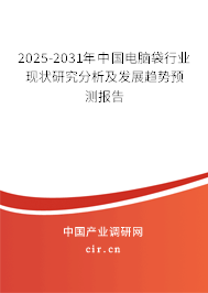 2025-2031年中國電腦袋行業現狀研究分析及發展趨勢預測報告