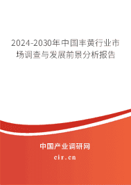 2023-2029年中國豐黃行業市場調查與發展前景分析報告