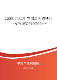2025-2031年中國單面磁鐵行業發展研究與前景分析