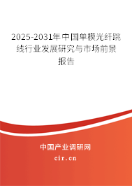 2025-2031年中國單模光纖跳線行業發展研究與市場前景報告