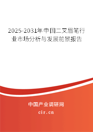 2025-2031年中國(guó)二叉眉筆行業(yè)市場(chǎng)分析與發(fā)展前景報(bào)告
