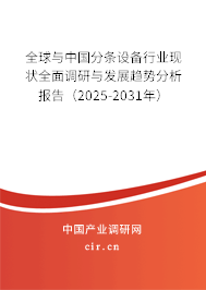 全球與中國分條設備行業現狀全面調研與發展趨勢分析報告（2025-2031年）