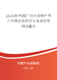 2025年中國廣州市房地產中介市場調查研究與發展前景預測報告