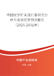 中國化學礦采選行業研究分析與發展前景預測報告（2025-2031年）