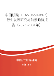 中國(guó)肌酸（CAS 3650-09-7）行業(yè)發(fā)展研究與前景趨勢(shì)報(bào)告（2025-2031年）