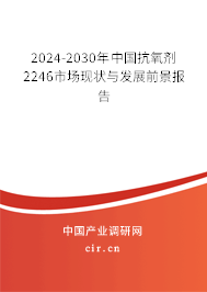 2024-2030年中國抗氧劑2246市場現狀與發展前景報告