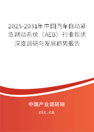 2025-2031年中國汽車自動緊急制動系統（AEB）行業現狀深度調研與發展趨勢報告