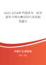 2025-2031年中國清洗、保潔服務市場全面調研與發展趨勢報告
