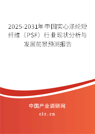 2025-2031年中國實心滌綸短纖維（PSF）行業現狀分析與發展前景預測報告