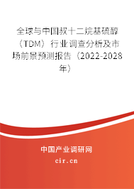 全球與中國叔十二烷基硫醇（TDM）行業調查分析及市場前景預測報告（2022-2028年）