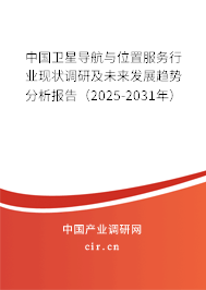 中國衛星導航與位置服務行業現狀調研及未來發展趨勢分析報告（2025-2031年）