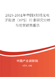 2025-2031年中國X射線光電子能譜（XPS）行業研究分析與前景趨勢報告