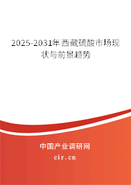 2025-2031年西藏硫酸市場現狀與前景趨勢