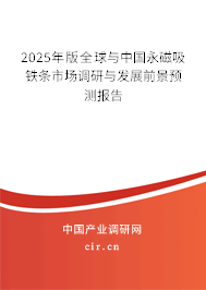 2025年版全球與中國永磁吸鐵條市場調研與發展前景預測報告