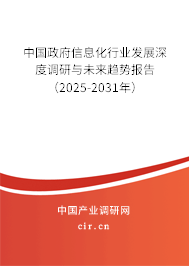 中國政府信息化行業發展深度調研與未來趨勢報告（2025-2031年）