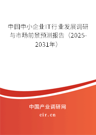 中國(guó)中小企業(yè)IT行業(yè)發(fā)展調(diào)研與市場(chǎng)前景預(yù)測(cè)報(bào)告（2025-2031年）