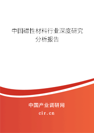中國磁性材料行業深度研究分析報告