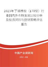 2023年丁腈橡膠（170型）行業國內外市場發展比較分析及投資風險與營銷策略評估報告