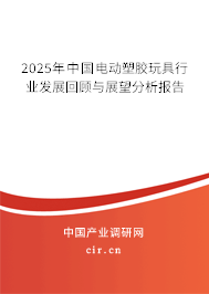 2025年中國電動塑膠玩具行業發展回顧與展望分析報告