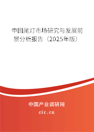 中國尾燈市場研究與發展前景分析報告（2023年版）