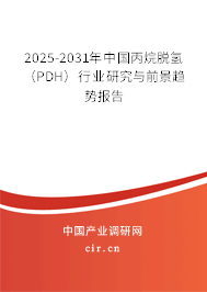 2025-2031年中國丙烷脫氫（PDH）行業研究與前景趨勢報告