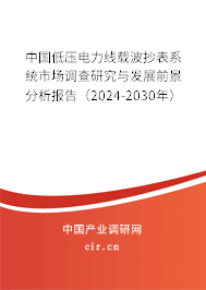 中國低壓電力線載波抄表系統市場調查研究與發展前景分析報告（2024-2030年）