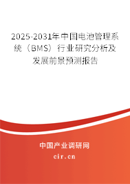 2025-2031年中國電池管理系統（BMS）行業研究分析及發展前景預測報告
