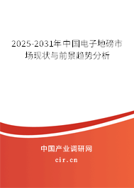 2025-2031年中國電子地磅市場現狀與前景趨勢分析