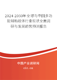2024-2030年全球與中國多功能輔助肢體行業現狀全面調研與發展趨勢預測報告