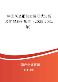 中國防盜報警發展現狀分析及前景趨勢報告（2025-2031年）