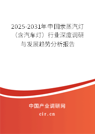 2025-2031年中國汞蒸汽燈（含汽車燈）行業深度調研與發展趨勢分析報告