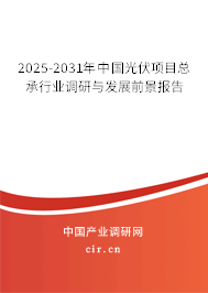 2024-2030年中國光伏項目總承行業調研與發展前景報告