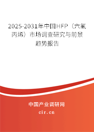 2025-2031年中國HFP（六氟丙烯）市場調查研究與前景趨勢報告