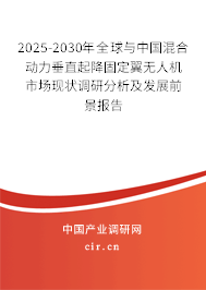 2025-2030年全球與中國混合動力垂直起降固定翼無人機市場現狀調研分析及發展前景報告