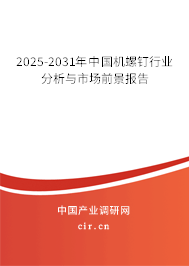 2024-2030年中國機螺釘行業分析與市場前景報告