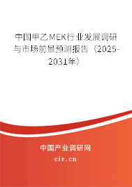 中國甲乙MEK行業發展調研與市場前景預測報告（2025-2031年）