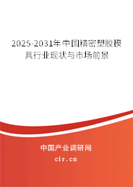 2025-2031年中國精密塑膠模具行業現狀與市場前景