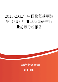 2025-2031年中國聚氨基甲酸酯（PU）行業現狀調研與行業前景分析報告