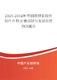 2025-2031年中國聚酰亞胺樹脂PI市場全面調研與發展前景預測報告