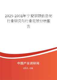 2025-2031年寧夏鋼鐵信息化行業研究與行業前景分析報告
