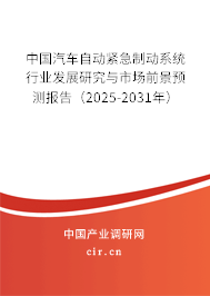 中國汽車自動緊急制動系統行業發展研究與市場前景預測報告（2025-2031年）