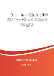 二〇一三年中國濕巾行業深度研究分析及未來發展前景預測報告